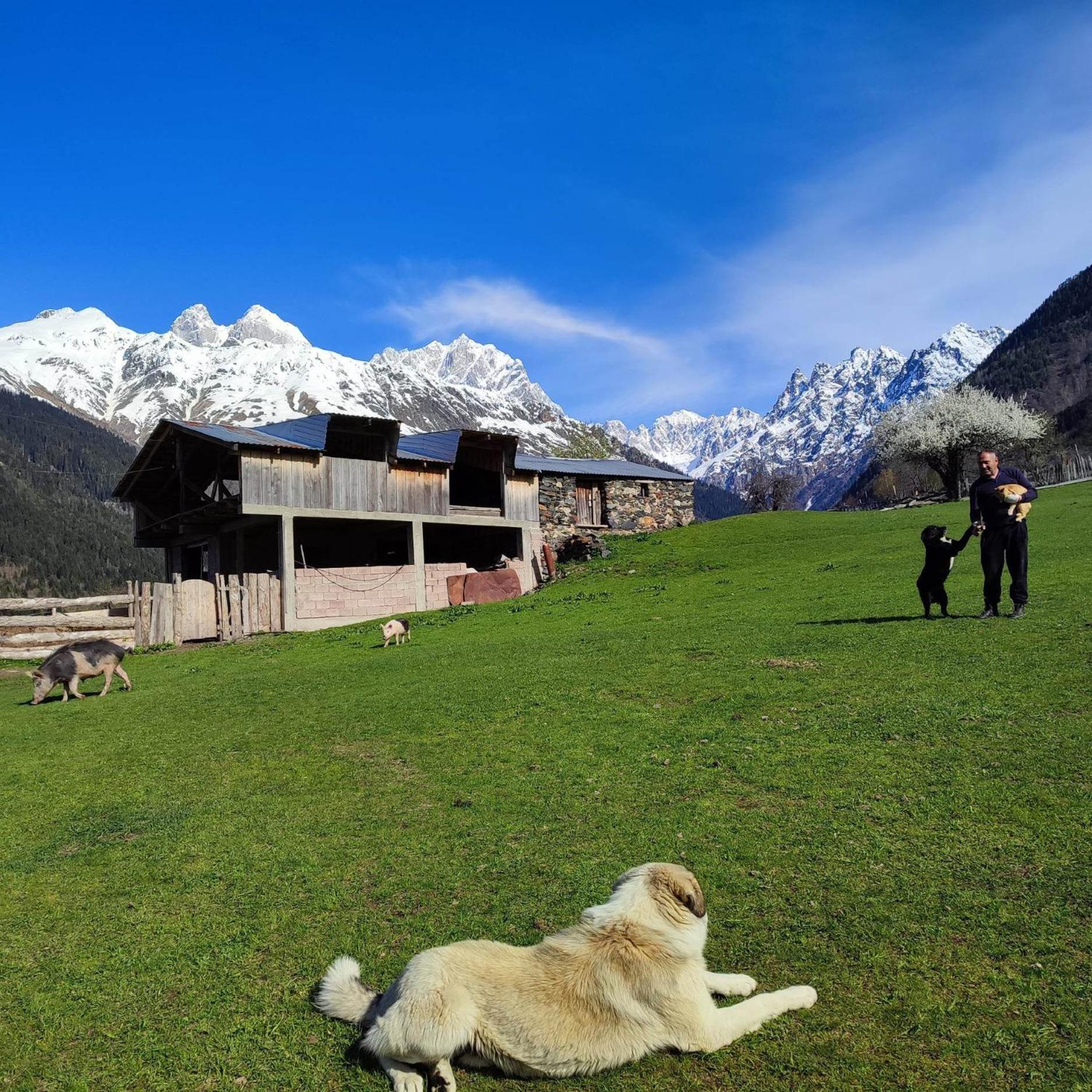 Tebdi Qor, Warm Home Mestia Dış mekan fotoğraf